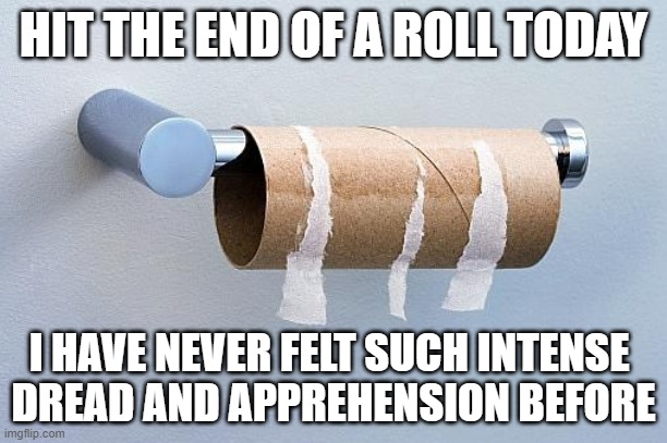 It's the end of the world as we know it, and I feel fiiiiiiiiine..... ish... | HIT THE END OF A ROLL TODAY; I HAVE NEVER FELT SUCH INTENSE 
DREAD AND APPREHENSION BEFORE | image tagged in no more toilet paper,omg,we're all doomed,end of the world | made w/ Imgflip meme maker