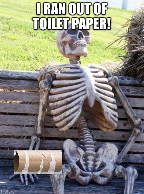 Waiting Skeleton Meme | I RAN OUT OF TOILET PAPER! | image tagged in memes,waiting skeleton | made w/ Imgflip meme maker