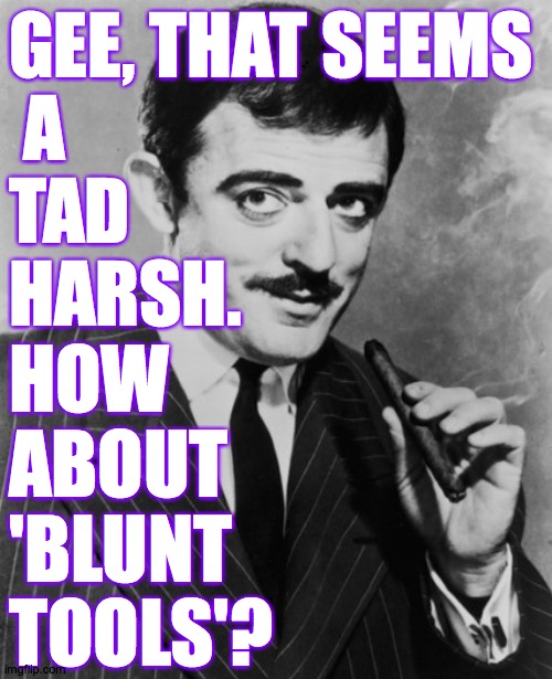 GEE, THAT SEEMS

 A
TAD 
HARSH. HOW ABOUT 'BLUNT TOOLS'? | made w/ Imgflip meme maker