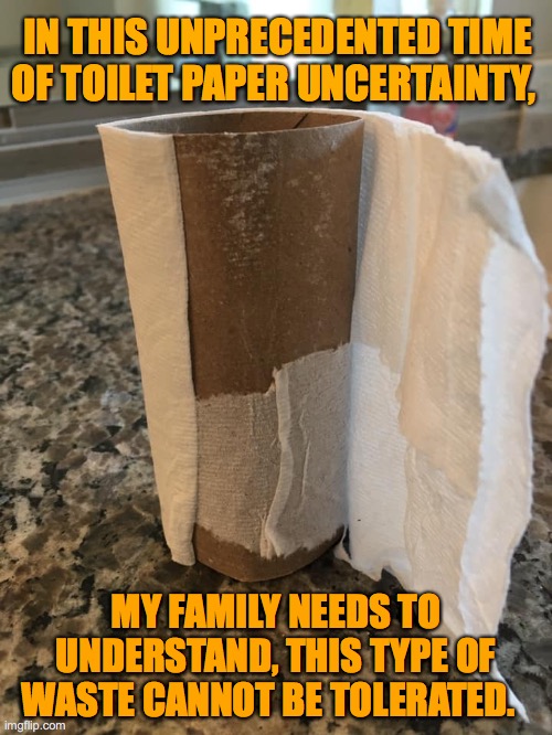 TP waste | IN THIS UNPRECEDENTED TIME OF TOILET PAPER UNCERTAINTY, MY FAMILY NEEDS TO UNDERSTAND, THIS TYPE OF WASTE CANNOT BE TOLERATED. | image tagged in waste | made w/ Imgflip meme maker