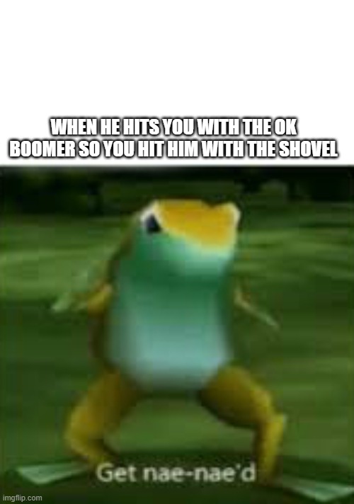 Get nae nae'd | WHEN HE HITS YOU WITH THE OK BOOMER SO YOU HIT HIM WITH THE SHOVEL | image tagged in get nae nae'd | made w/ Imgflip meme maker