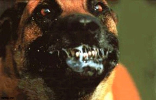Rabid Dog | . | image tagged in rabid dog | made w/ Imgflip meme maker