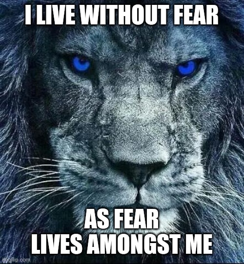 detroit lions | I LIVE WITHOUT FEAR; AS FEAR LIVES AMONGST ME | image tagged in detroit lions | made w/ Imgflip meme maker