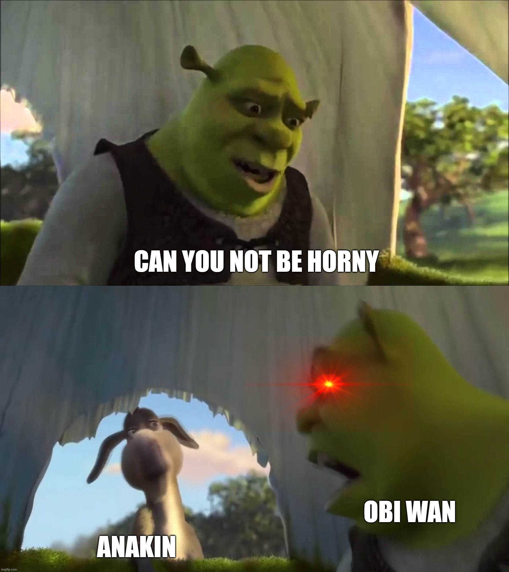 shrek five minutes | CAN YOU NOT BE HORNY; OBI WAN; ANAKIN | image tagged in shrek five minutes | made w/ Imgflip meme maker