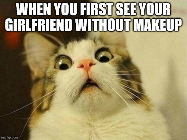 Scared Cat | WHEN YOU FIRST SEE YOUR GIRLFRIEND WITHOUT MAKEUP | image tagged in memes,scared cat | made w/ Imgflip meme maker