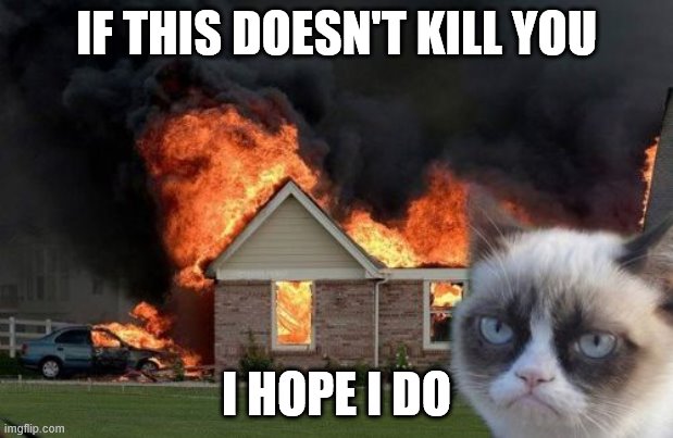 Burn Kitty | IF THIS DOESN'T KILL YOU; I HOPE I DO | image tagged in memes,burn kitty,grumpy cat | made w/ Imgflip meme maker