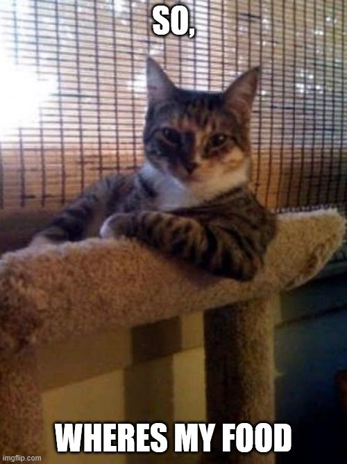 The Most Interesting Cat In The World | SO, WHERES MY FOOD | image tagged in memes,the most interesting cat in the world | made w/ Imgflip meme maker