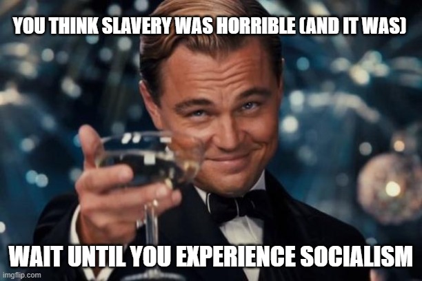 Leonardo Dicaprio Cheers | YOU THINK SLAVERY WAS HORRIBLE (AND IT WAS); WAIT UNTIL YOU EXPERIENCE SOCIALISM | image tagged in memes,leonardo dicaprio cheers | made w/ Imgflip meme maker