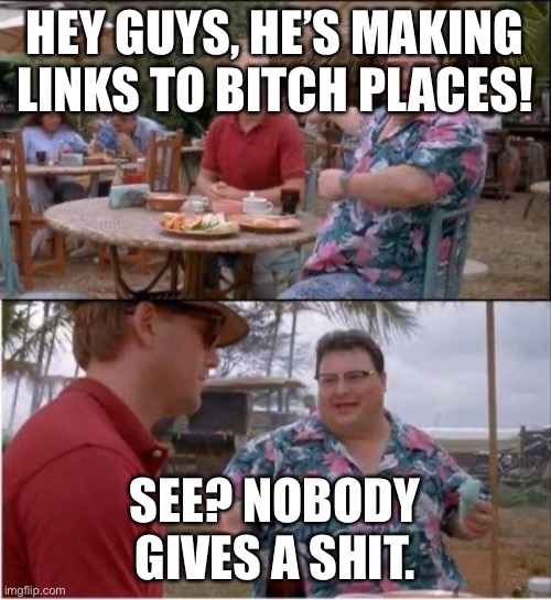 See? Nobody cares | HEY GUYS, HE’S MAKING LINKS TO B**CH PLACES! SEE? NOBODY GIVES A SHIT. | image tagged in see nobody cares | made w/ Imgflip meme maker