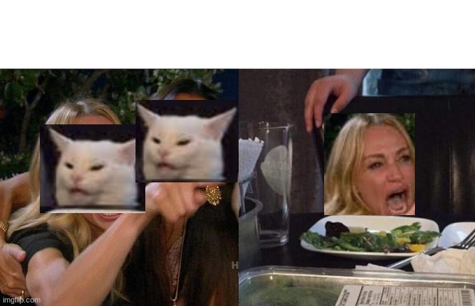 add your face to woman yelling at cat meme generator