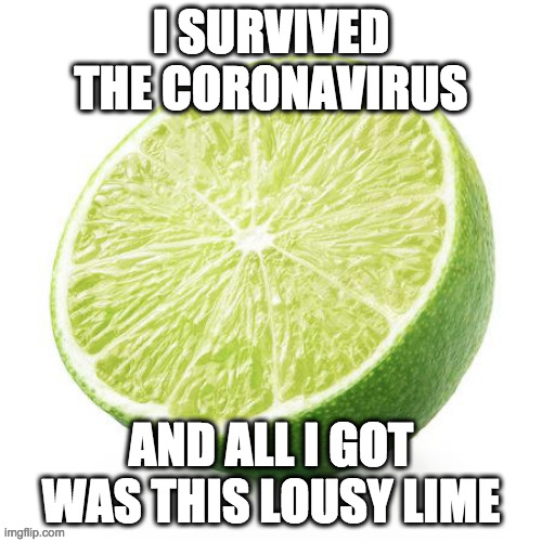 Corona and lime |  I SURVIVED THE CORONAVIRUS; AND ALL I GOT WAS THIS LOUSY LIME | image tagged in coronavirus,lime,survive | made w/ Imgflip meme maker