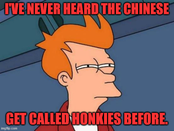 Futurama Fry Meme | I'VE NEVER HEARD THE CHINESE GET CALLED HONKIES BEFORE. | image tagged in memes,futurama fry | made w/ Imgflip meme maker