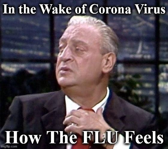 cv | In the Wake of Corona Virus; How The FLU Feels | image tagged in cv | made w/ Imgflip meme maker