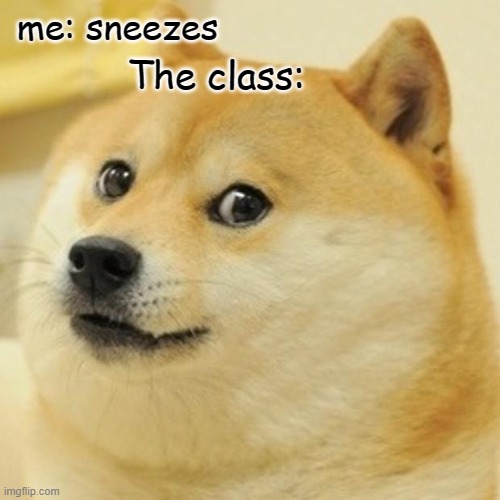 Doge Meme | me: sneezes; The class: | image tagged in memes,doge | made w/ Imgflip meme maker