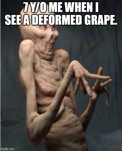 Grossed Out Alien | 7 Y/O ME WHEN I SEE A DEFORMED GRAPE. | image tagged in grossed out alien | made w/ Imgflip meme maker