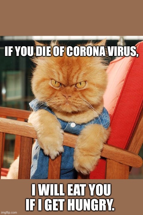 Garfi The Angry Cat | IF YOU DIE OF CORONA VIRUS, I WILL EAT YOU IF I GET HUNGRY. | image tagged in garfi the angry cat | made w/ Imgflip meme maker