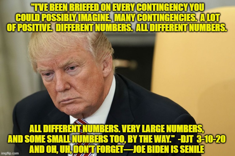 Biden is Senile | "I'VE BEEN BRIEFED ON EVERY CONTINGENCY YOU COULD POSSIBLY IMAGINE.  MANY CONTINGENCIES.  A LOT OF POSITIVE.  DIFFERENT NUMBERS.  ALL DIFFERENT NUMBERS. ALL DIFFERENT NUMBERS. VERY LARGE NUMBERS, AND SOME SMALL NUMBERS TOO, BY THE WAY."  -DJT  3-10-20
AND OH, UH, DON'T FORGET—JOE BIDEN IS SENILE | image tagged in donald trump approves,joe biden,donald trump is an idiot,sad joe biden,president trump | made w/ Imgflip meme maker