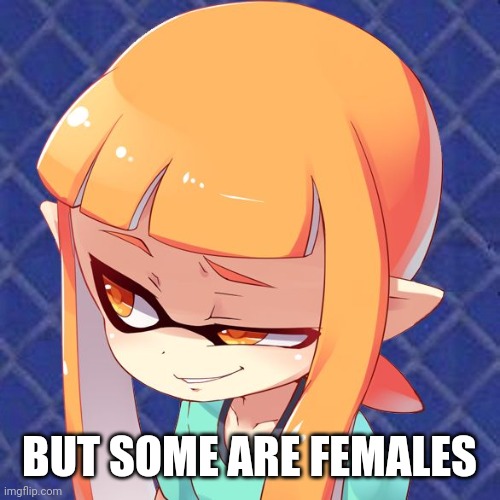 Smug Inkling | BUT SOME ARE FEMALES | image tagged in smug inkling | made w/ Imgflip meme maker