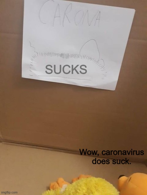 CARONA ______ | SUCKS; Wow, caronavirus does suck. | image tagged in carona ______ | made w/ Imgflip meme maker