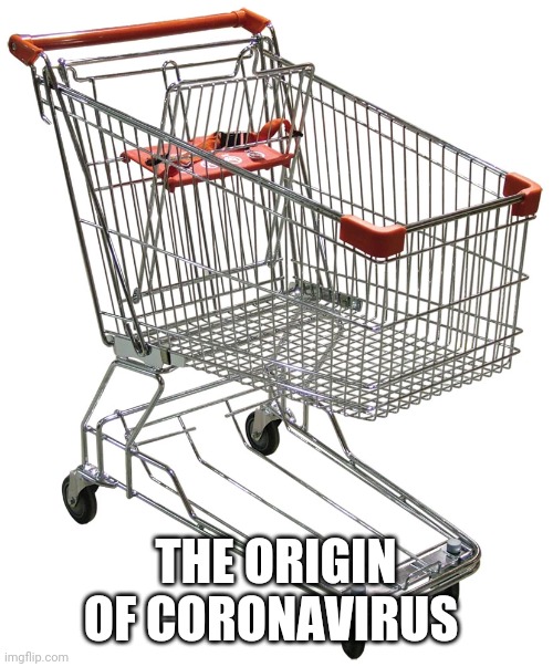 THE ORIGIN OF CORONAVIRUS | image tagged in funny memes | made w/ Imgflip meme maker