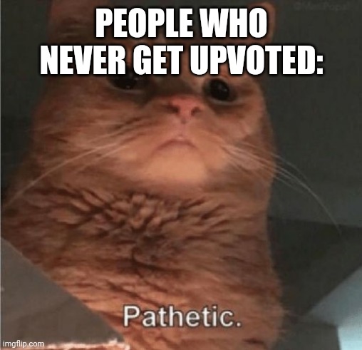 Pathetic Cat | PEOPLE WHO NEVER GET UPVOTED: | image tagged in pathetic cat | made w/ Imgflip meme maker