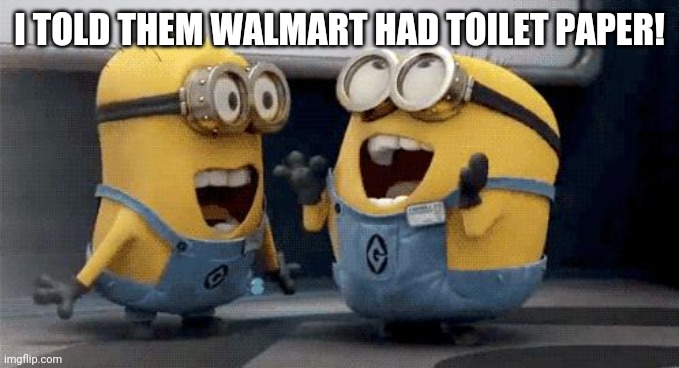 Excited Minions Meme | I TOLD THEM WALMART HAD TOILET PAPER! | image tagged in memes,excited minions | made w/ Imgflip meme maker