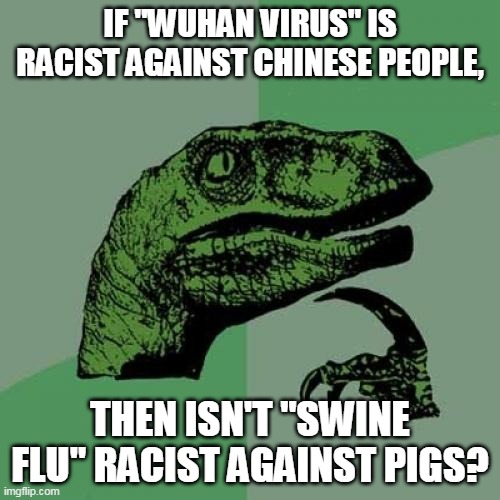 Philosoraptor | IF "WUHAN VIRUS" IS RACIST AGAINST CHINESE PEOPLE, THEN ISN'T "SWINE FLU" RACIST AGAINST PIGS? | image tagged in memes,philosoraptor | made w/ Imgflip meme maker
