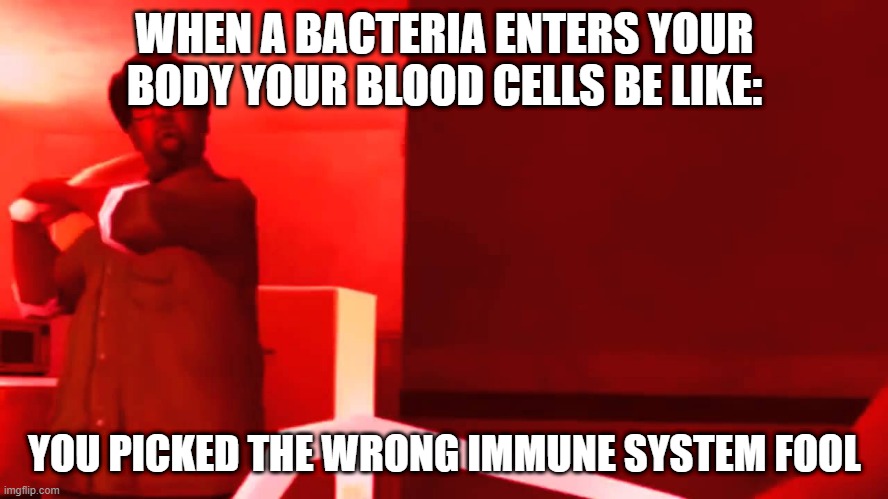 YOU PICKED THE WRONG HOUSE FOOL | WHEN A BACTERIA ENTERS YOUR BODY YOUR BLOOD CELLS BE LIKE:; YOU PICKED THE WRONG IMMUNE SYSTEM FOOL | image tagged in you picked the wrong house fool | made w/ Imgflip meme maker