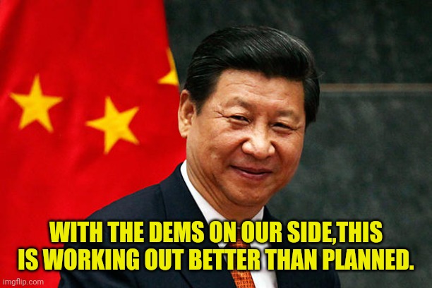 Xi Jinping | WITH THE DEMS ON OUR SIDE,THIS IS WORKING OUT BETTER THAN PLANNED. | image tagged in xi jinping | made w/ Imgflip meme maker