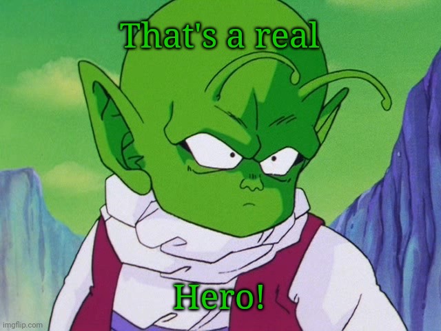 Quoter Dende (DBZ) | That's a real Hero! | image tagged in quoter dende dbz | made w/ Imgflip meme maker