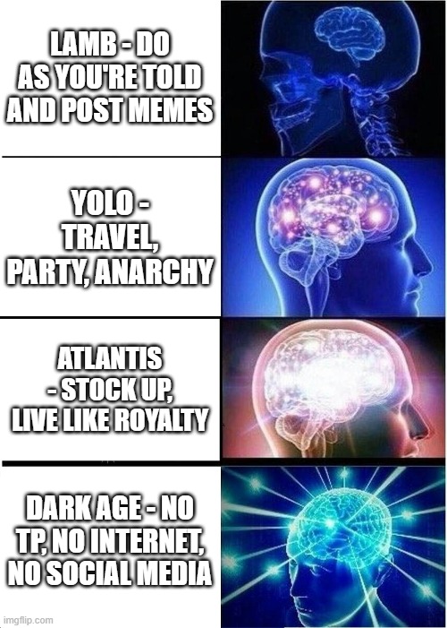 Quarantine difficulty level - which one are you? | LAMB - DO AS YOU'RE TOLD AND POST MEMES; YOLO - TRAVEL, PARTY, ANARCHY; ATLANTIS - STOCK UP, LIVE LIKE ROYALTY; DARK AGE - NO TP, NO INTERNET, NO SOCIAL MEDIA | image tagged in memes,expanding brain | made w/ Imgflip meme maker