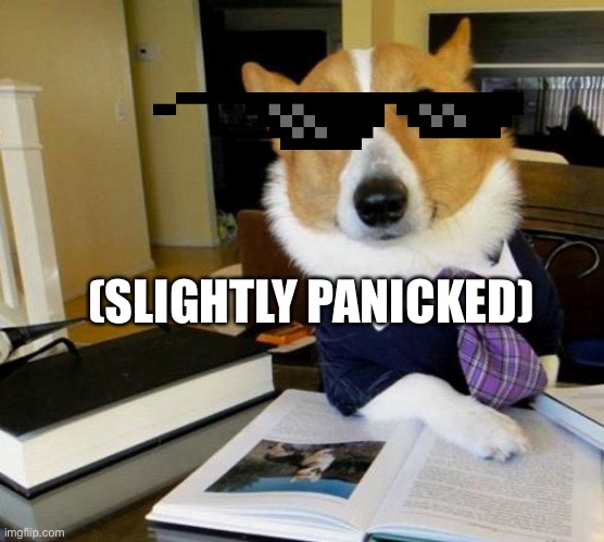 Lawyer Dog | (SLIGHTLY PANICKED) | image tagged in lawyer dog | made w/ Imgflip meme maker