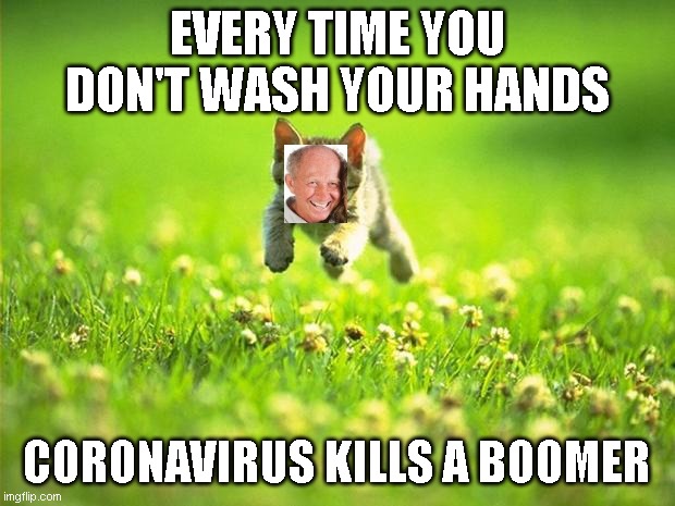 Every time I smile God Kills a Kitten | EVERY TIME YOU DON'T WASH YOUR HANDS; CORONAVIRUS KILLS A BOOMER | image tagged in every time i smile god kills a kitten | made w/ Imgflip meme maker