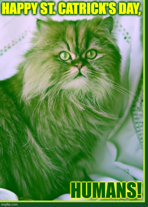 The Wearing of the Green... FUR | HAPPY ST. CATRICK'S DAY, HUMANS! | image tagged in vince vance,st patrick's day,green,cats,humans,funny cat memes | made w/ Imgflip meme maker