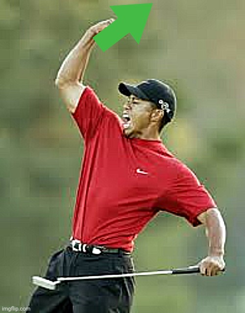 TIGER WOODS | image tagged in tiger woods | made w/ Imgflip meme maker