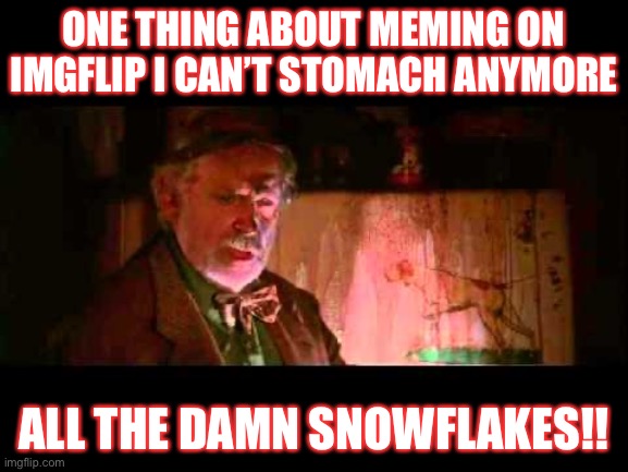 Getting to feel more like after school care around here | ONE THING ABOUT MEMING ON IMGFLIP I CAN’T STOMACH ANYMORE; ALL THE DAMN SNOWFLAKES!! | made w/ Imgflip meme maker