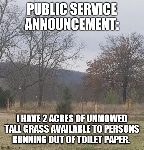 Complete with thorny shrubs to simulate taco Tuesday's Wednesday after.... | PUBLIC SERVICE ANNOUNCEMENT:; I HAVE 2 ACRES OF UNMOWED TALL GRASS AVAILABLE TO PERSONS RUNNING OUT OF TOILET PAPER. | image tagged in memes,original meme,taco tuesday,toilet humor,satire,no more toilet paper | made w/ Imgflip meme maker