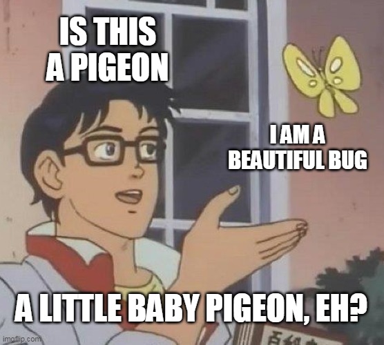 Is This A Pigeon | IS THIS A PIGEON; I AM A BEAUTIFUL BUG; A LITTLE BABY PIGEON, EH? | image tagged in memes,is this a pigeon | made w/ Imgflip meme maker