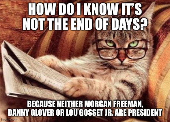 Intelligent Cat | HOW DO I KNOW IT’S NOT THE END OF DAYS? BECAUSE NEITHER MORGAN FREEMAN, DANNY GLOVER OR LOU GOSSET JR. ARE PRESIDENT | image tagged in intelligent cat | made w/ Imgflip meme maker