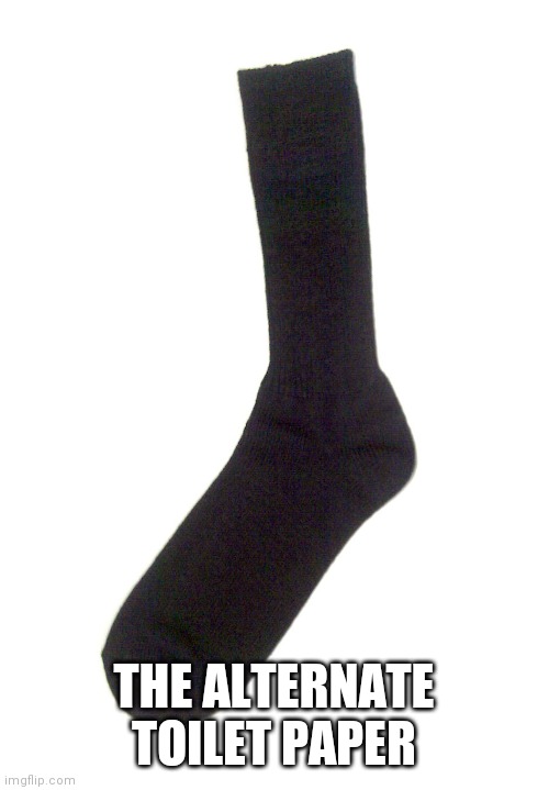 Random sock | THE ALTERNATE TOILET PAPER | image tagged in random sock | made w/ Imgflip meme maker