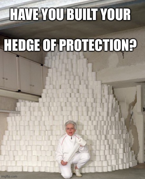 Hedge of Protection | HAVE YOU BUILT YOUR; HEDGE OF PROTECTION? | image tagged in toilet paper,coronavirus,christian,humor | made w/ Imgflip meme maker