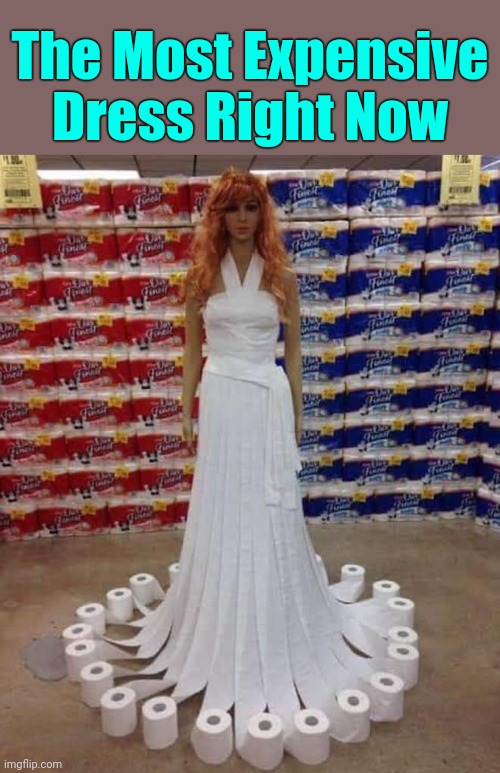 Who would have thought 2020 fashion designs would be toilet paper.. | The Most Expensive Dress Right Now | image tagged in memes,no more toilet paper | made w/ Imgflip meme maker