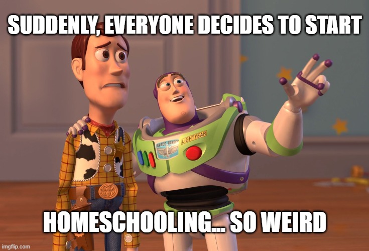 X, X Everywhere | SUDDENLY, EVERYONE DECIDES TO START; HOMESCHOOLING... SO WEIRD | image tagged in memes,x x everywhere | made w/ Imgflip meme maker