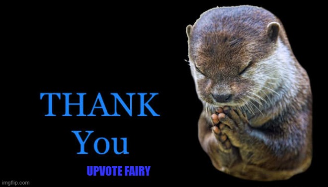 thank you | UPVOTE FAIRY | image tagged in thank you | made w/ Imgflip meme maker