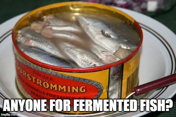 Stinky Swedish Fish | ANYONE FOR FERMENTED FISH? | image tagged in food | made w/ Imgflip meme maker