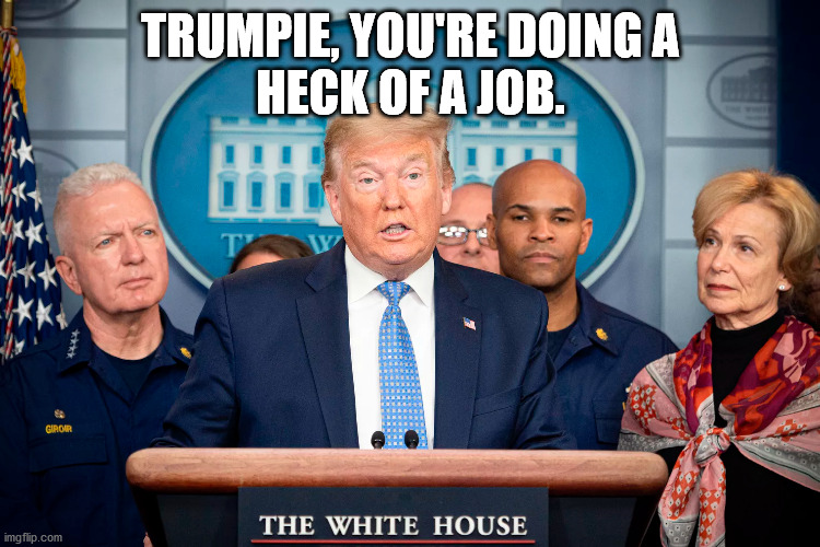Trumpie, You're Doing a Heck of a Job. | TRUMPIE, YOU'RE DOING A
HECK OF A JOB. | image tagged in trump,coronavirus,incompetence,george w bush | made w/ Imgflip meme maker