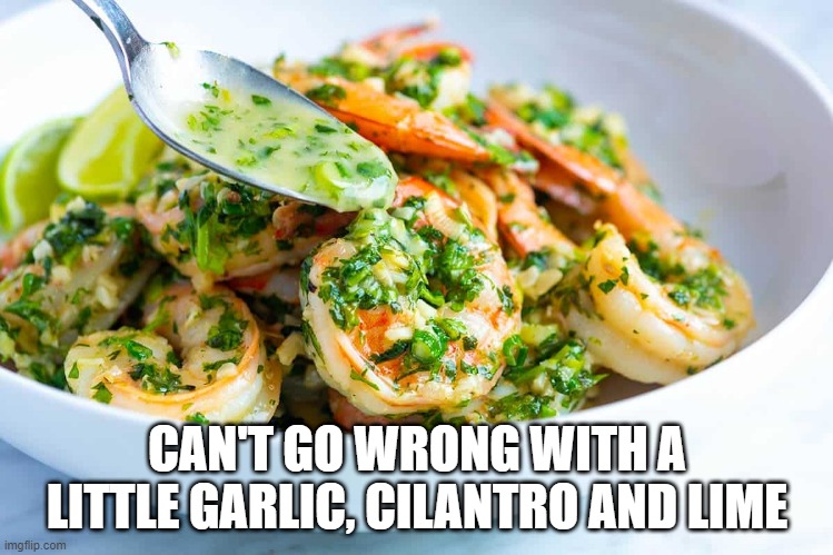 Mmm Shrimp | CAN'T GO WRONG WITH A LITTLE GARLIC, CILANTRO AND LIME | image tagged in food | made w/ Imgflip meme maker