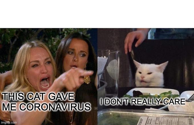 Woman Yelling At Cat Meme | THIS CAT GAVE ME CORONAVIRUS; I DON'T REALLY CARE | image tagged in memes,woman yelling at cat | made w/ Imgflip meme maker