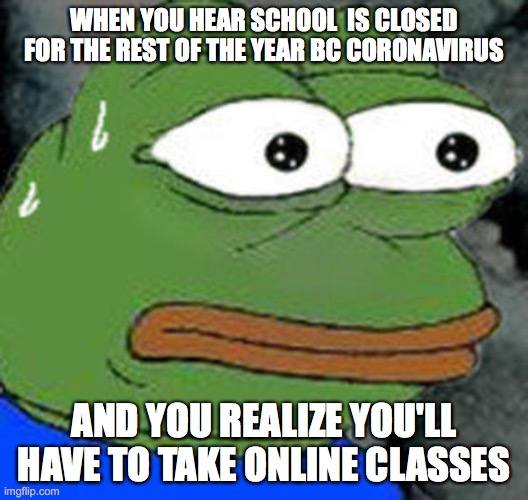 Sweat Pepe | WHEN YOU HEAR SCHOOL  IS CLOSED FOR THE REST OF THE YEAR BC CORONAVIRUS; AND YOU REALIZE YOU'LL HAVE TO TAKE ONLINE CLASSES | image tagged in sweat pepe | made w/ Imgflip meme maker