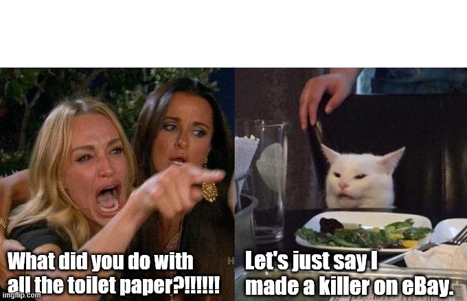 Woman Yelling At Cat | What did you do with all the toilet paper?!!!!!! Let's just say I made a killer on eBay. | image tagged in memes,woman yelling at cat | made w/ Imgflip meme maker